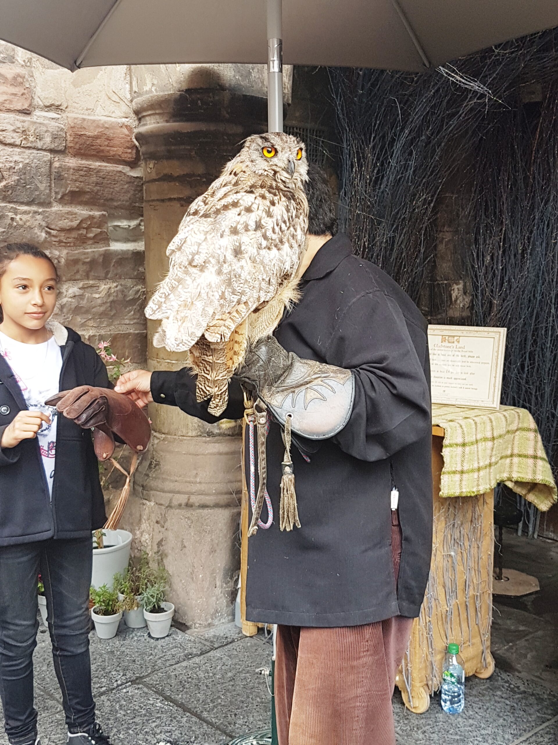 potter reference, fromthecornertable, streets of edinburgh, from the corner table, edinburgh, scotland, travel blog