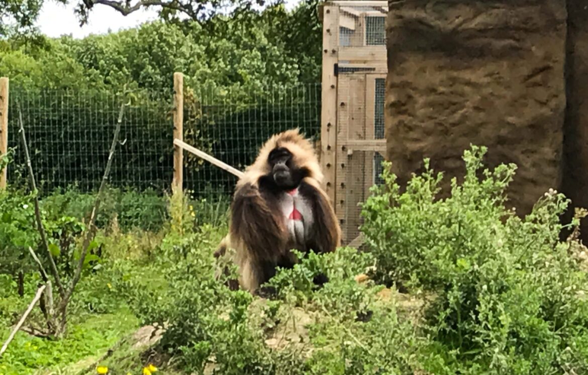 703f3-img_6712-2 703f3-img_6712-2