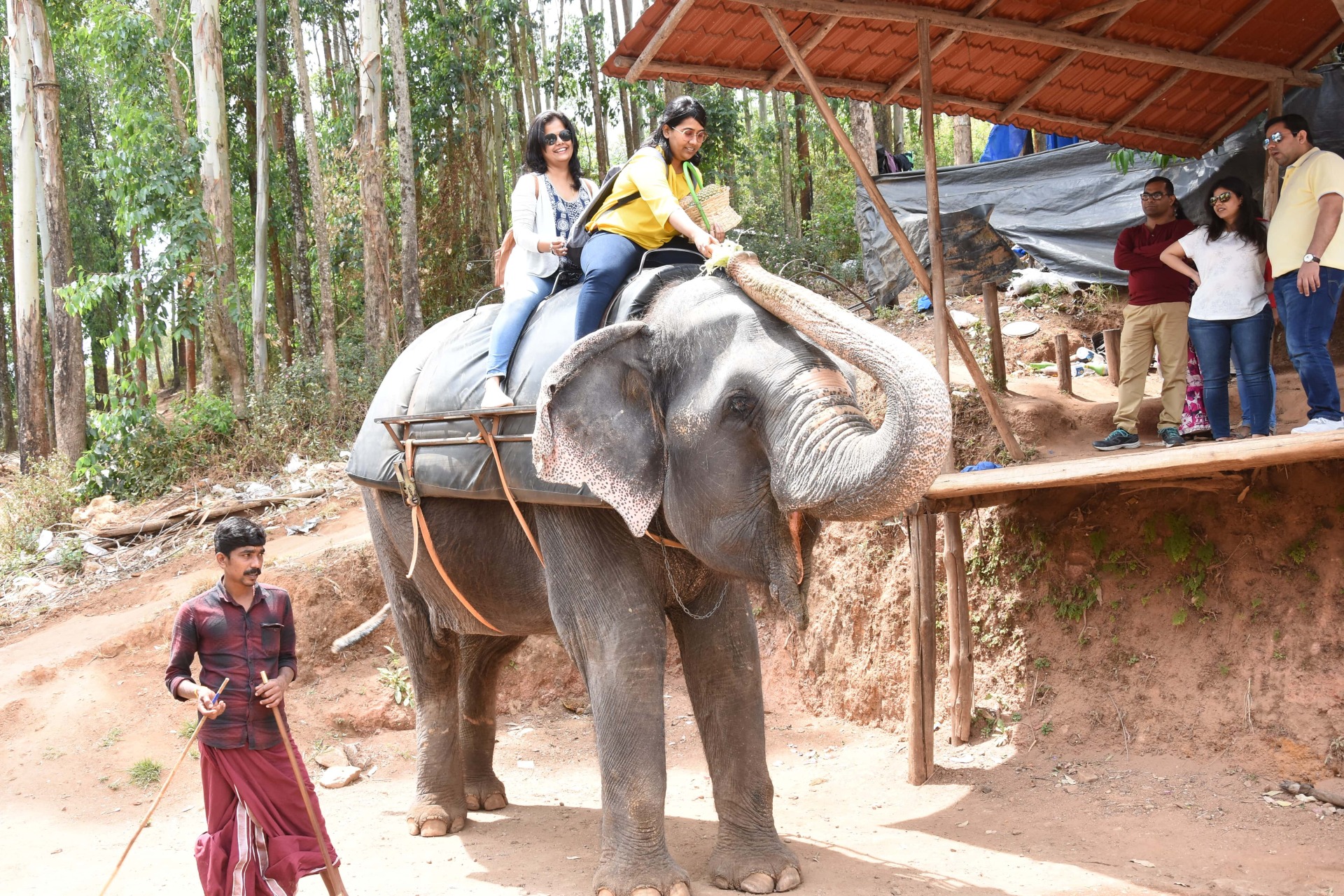Munnar, from the corner table, #fromthecornertable