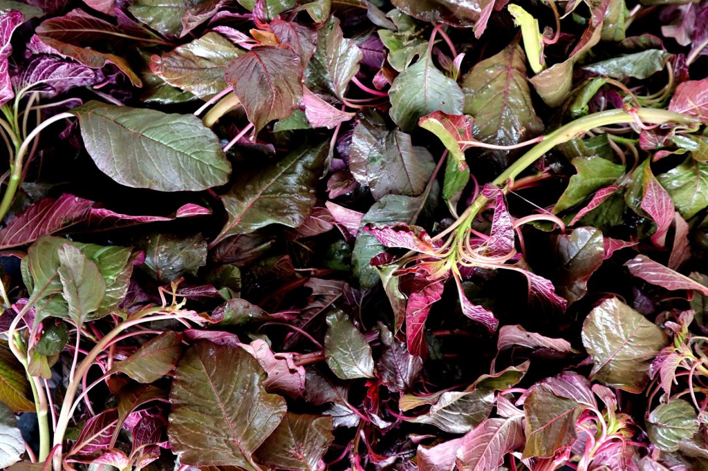 fromthecornertable, from the corner table, lal shaak, red spinach, chinese spinach 